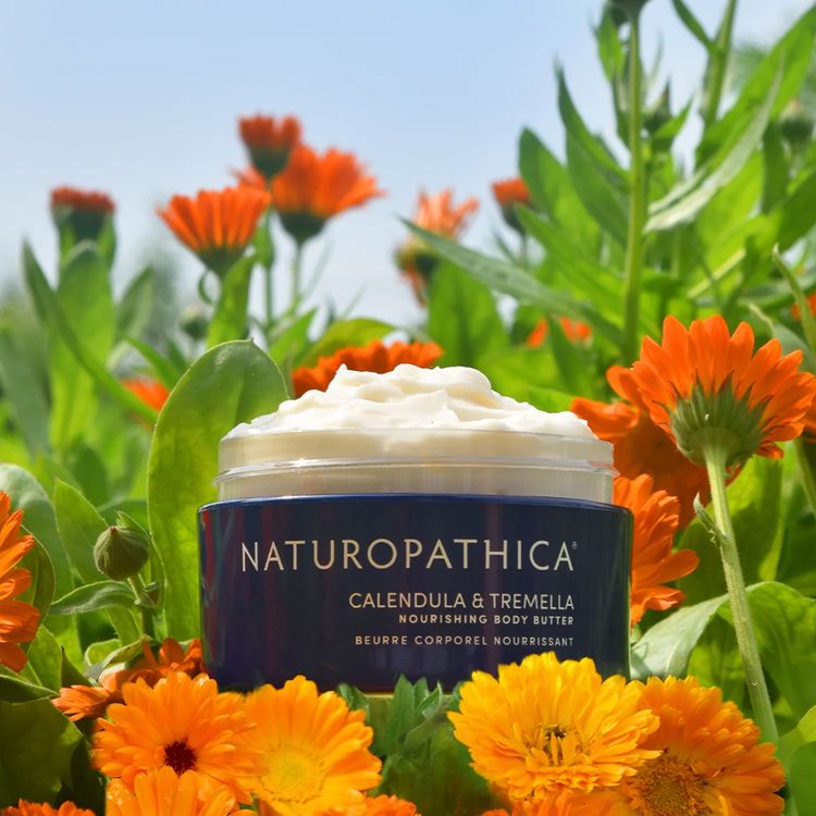 naturopathica-calendula
