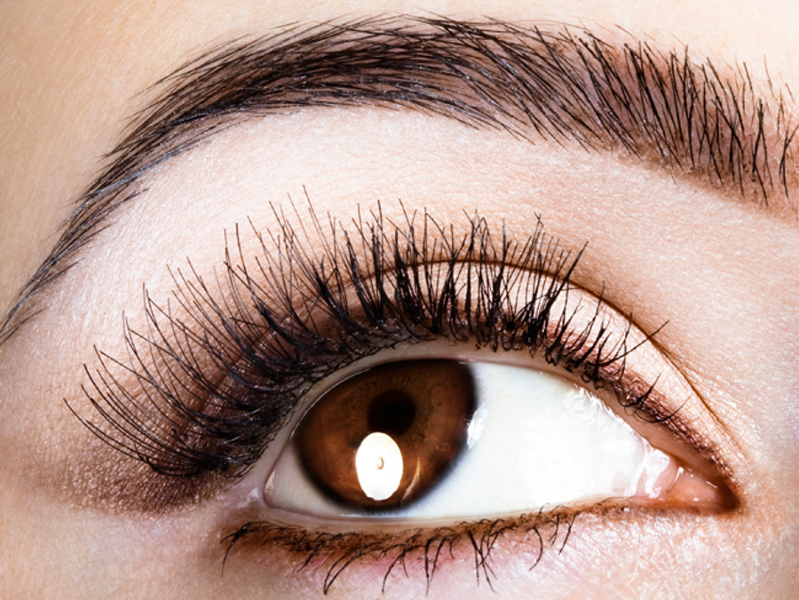 brows Main Newbeauty