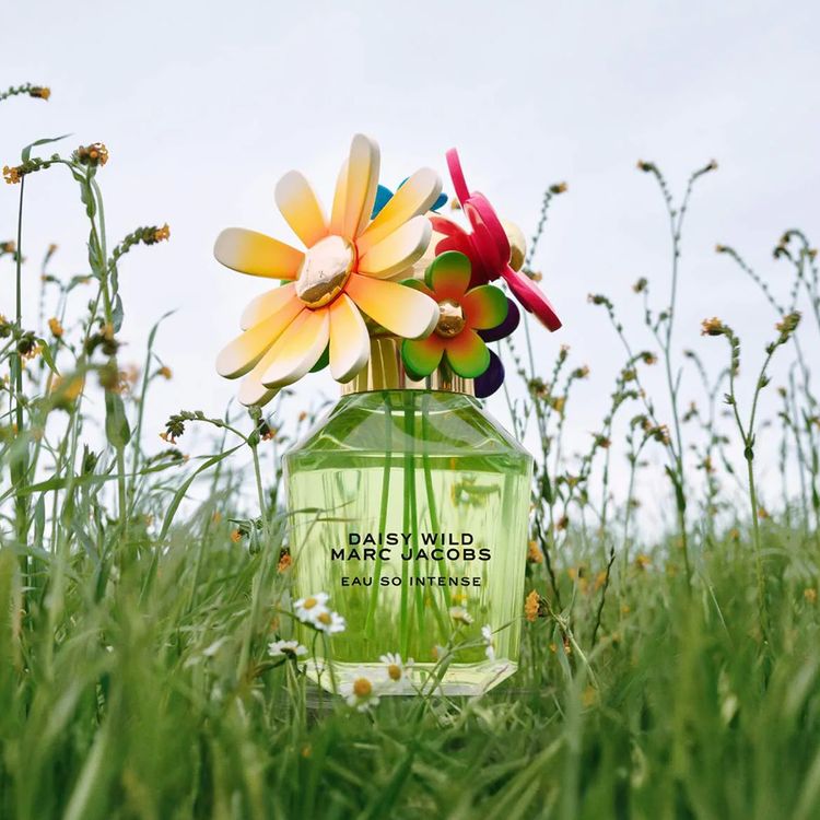 Marc Jacobs Daisy Wild Eau So Intense Eau de Parfum (Starting at $90)