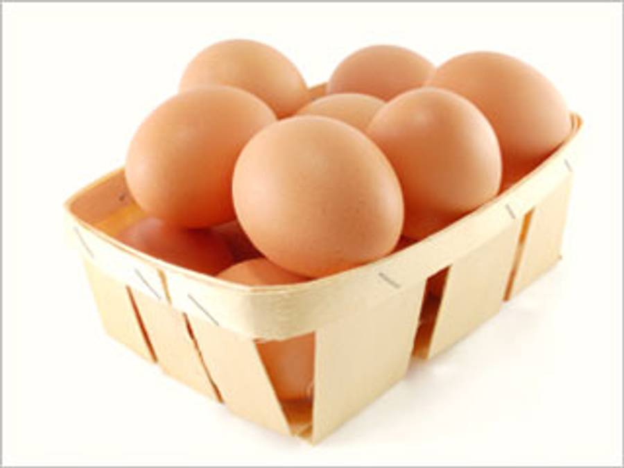 are-eggs-h