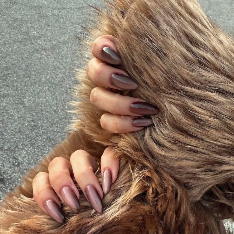 Teddy-Bear Brown