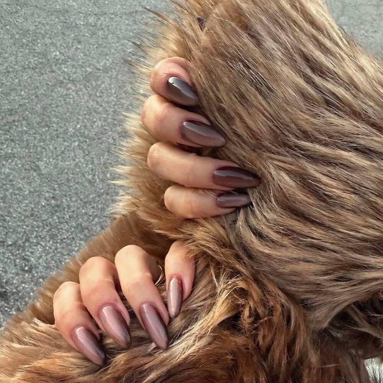 Teddy-Bear Brown
