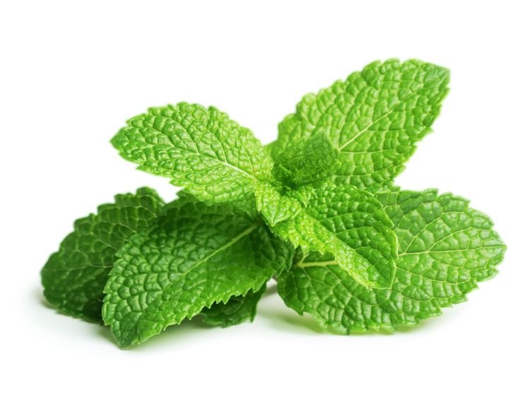 Peppermint