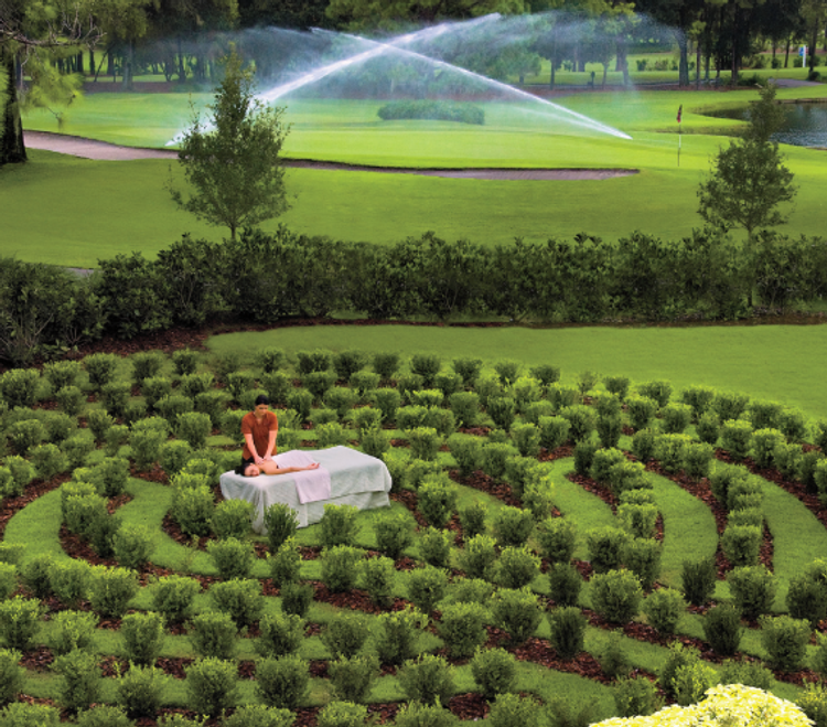 Innisbrook Golf Resort &amp; Spa