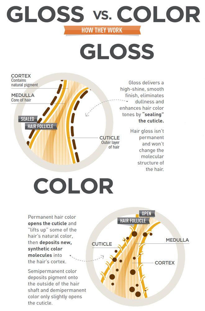 infographic Glossvscolor