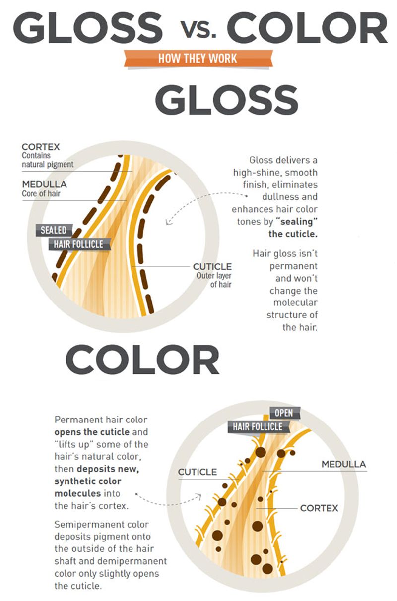 infographic Glossvscolor