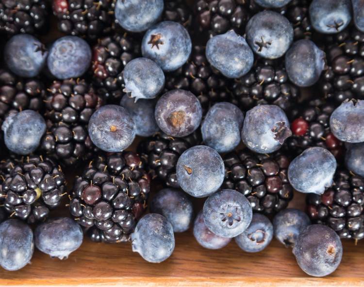 Berries