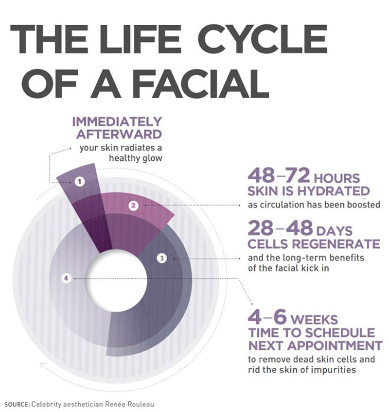 facial Infographic