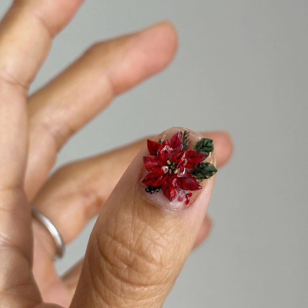 Blooming Poinsettias