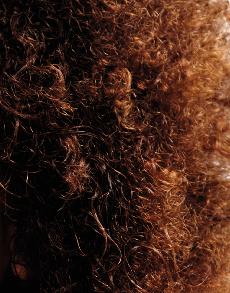 Type 4A Hair