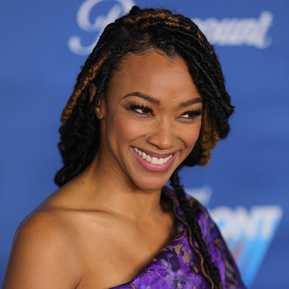 loose ponytail butterfly locs