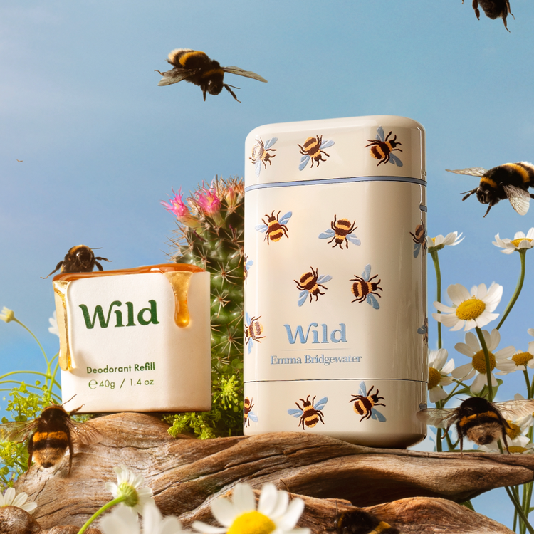 Wild Refillable Bee Case with Honey & Cactus Flower ($20)