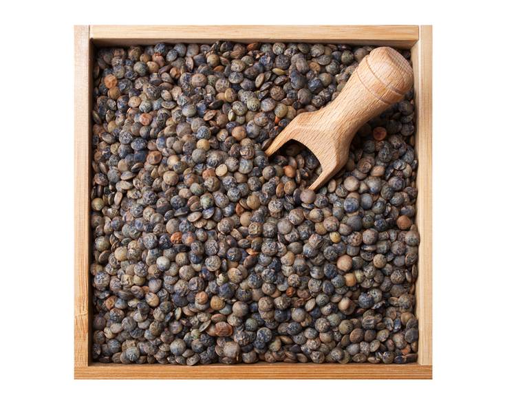 Legumes