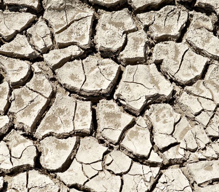 Deep Lines And Wrinkles