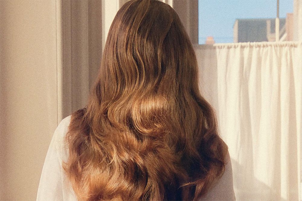 backview of woman's hair