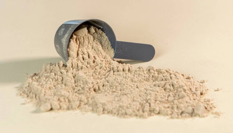 protein powder