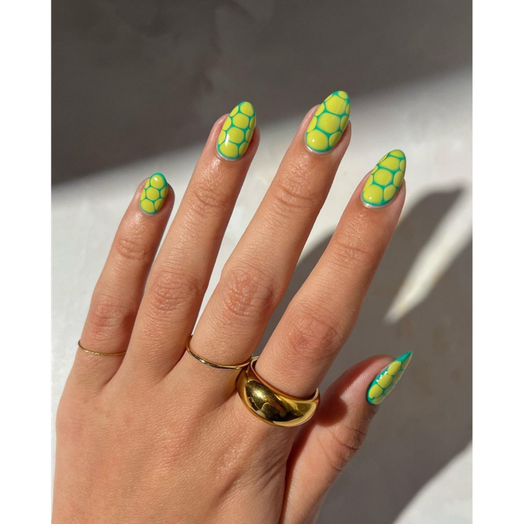 Alligator green