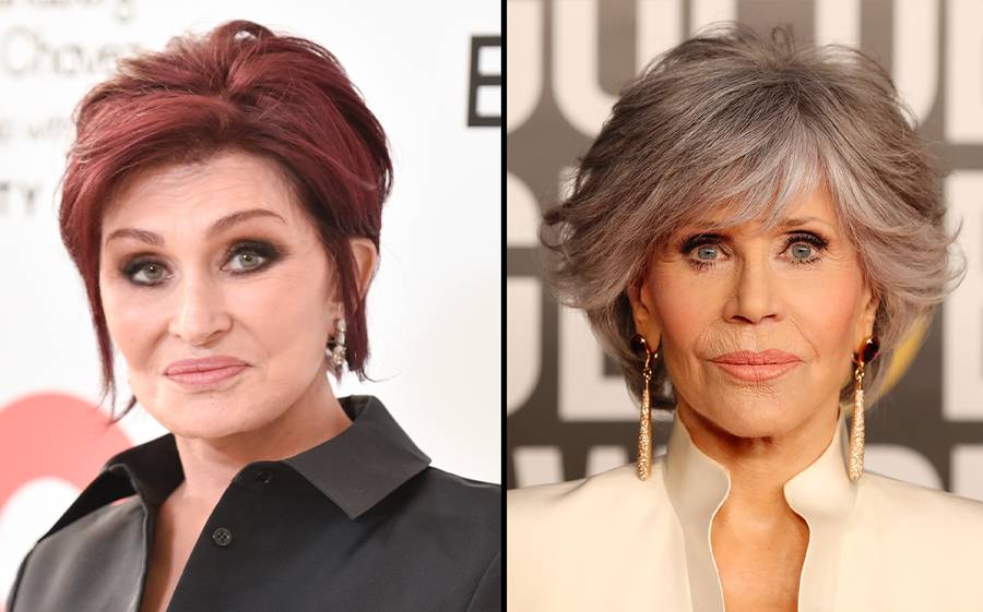 celebrity facelifts