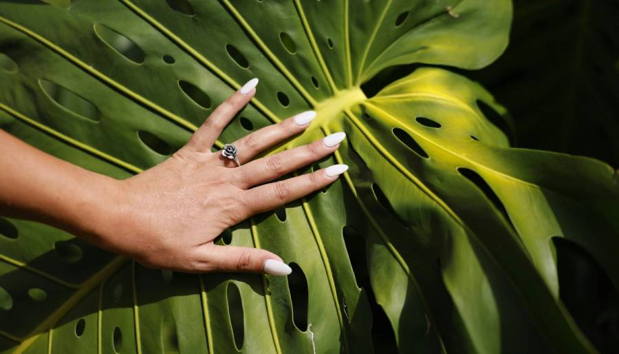 White nails
