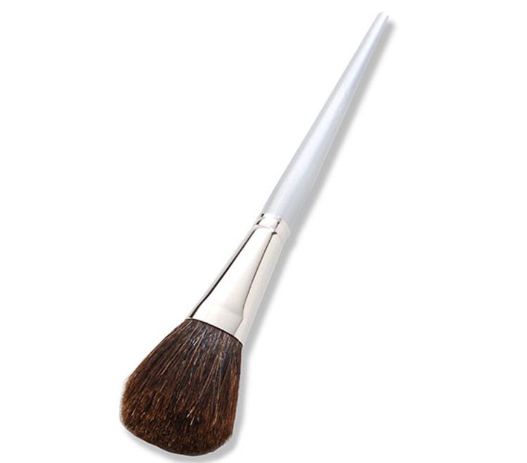 Powder Brush