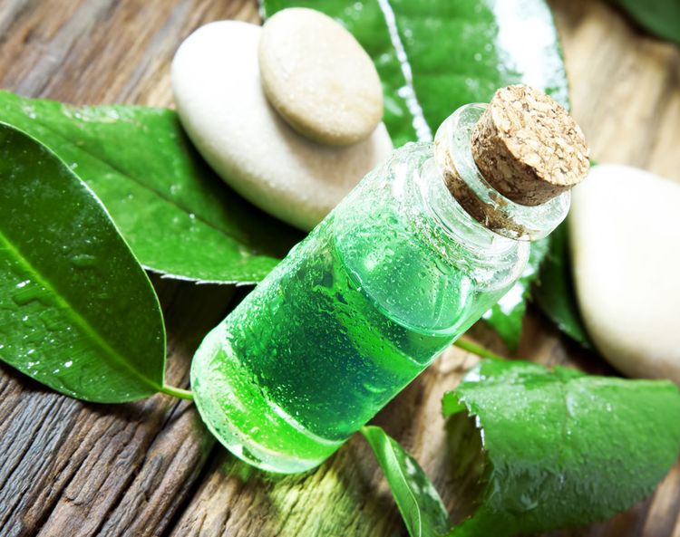 Tea Tree Oil