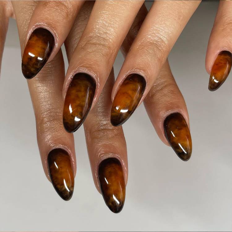 Tortoiseshell