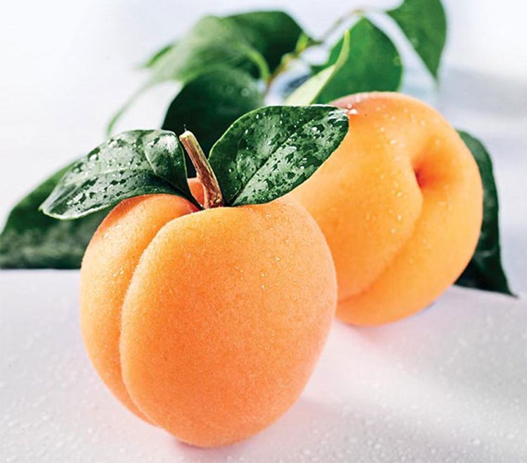 Apricots