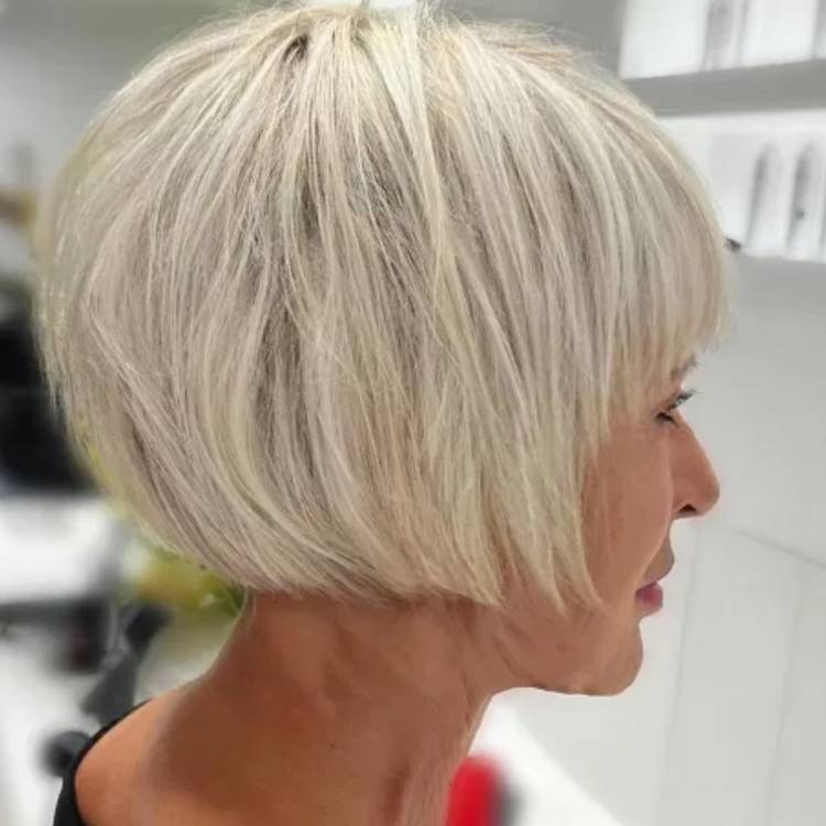 Pixie bob