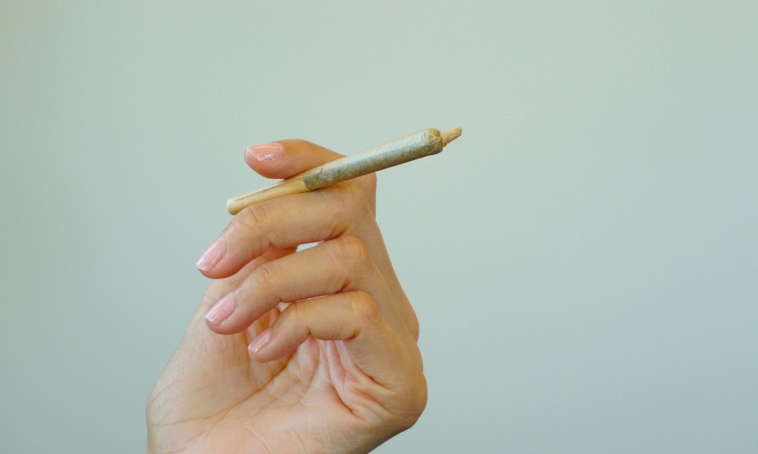 hand holding a marijuana joint