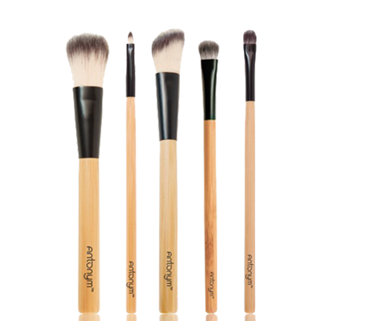 For Everywhere: The Brushes