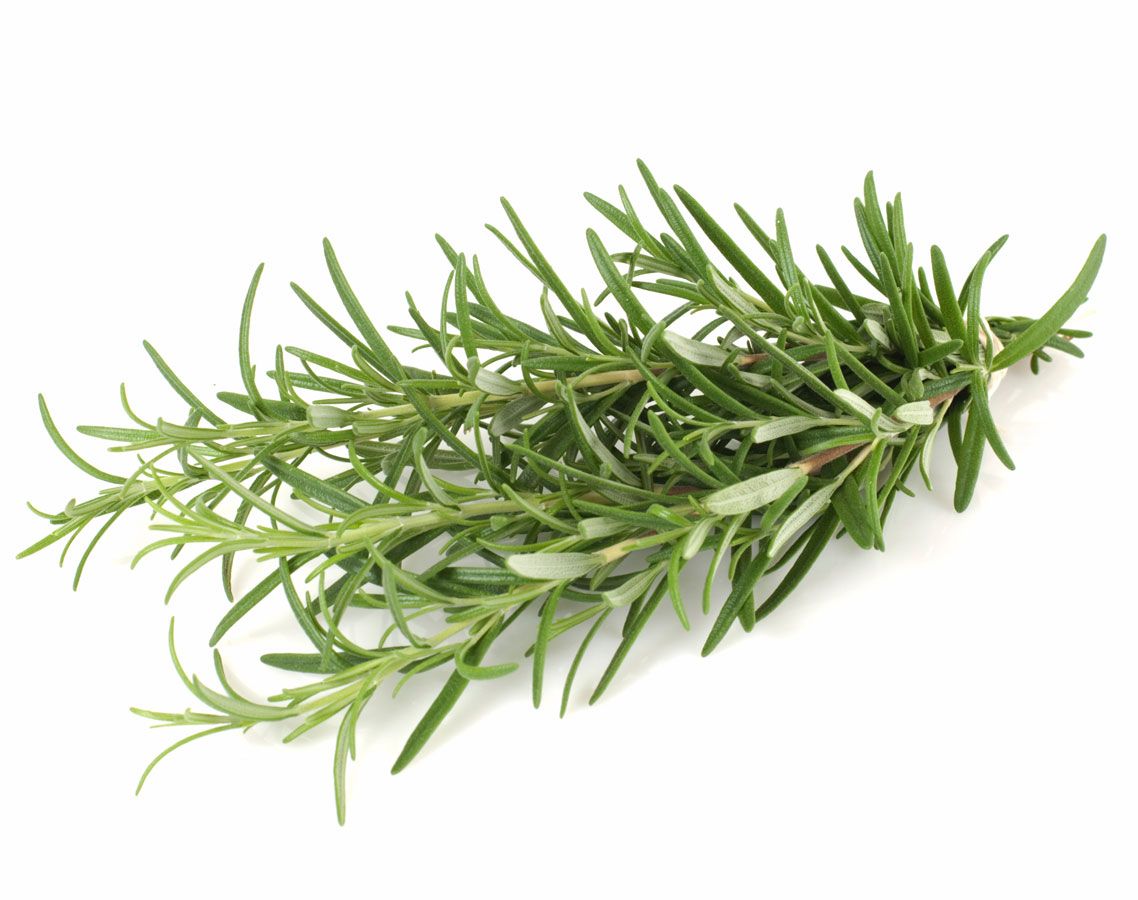 Rosemary
