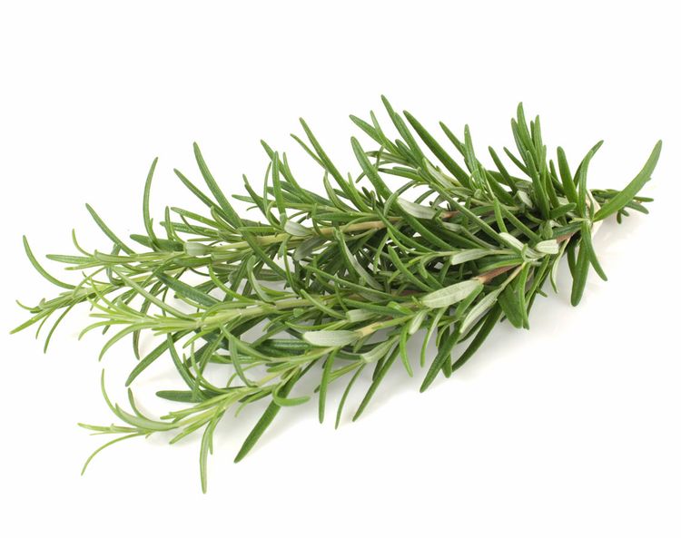 Rosemary