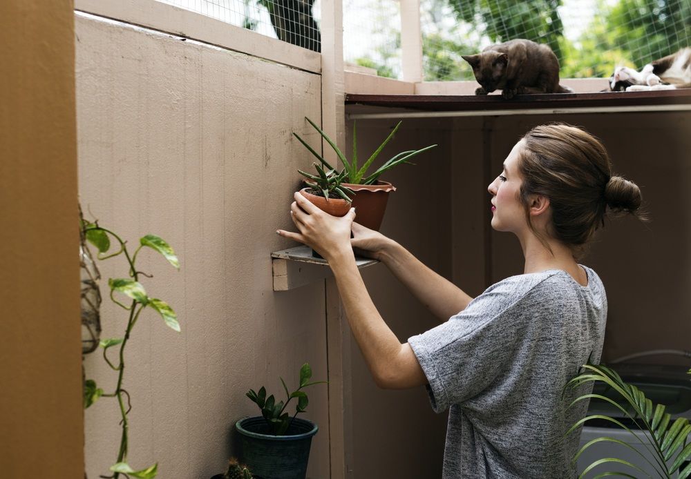 shutterstock 740345464