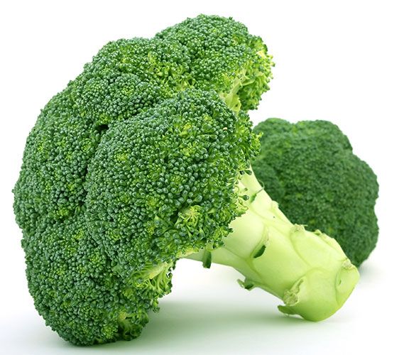 Broccoli