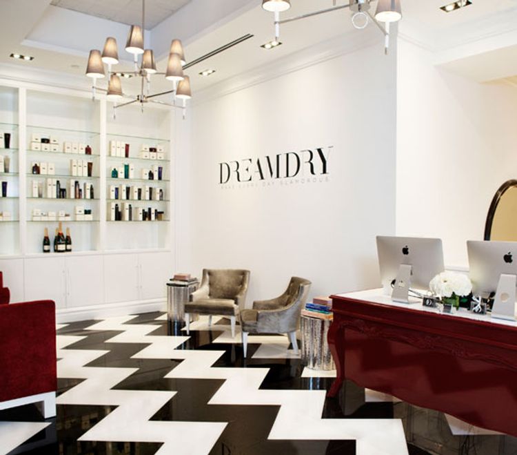 DreamDry