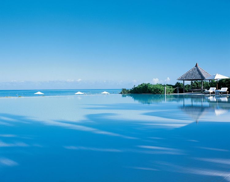 Parrot Cay