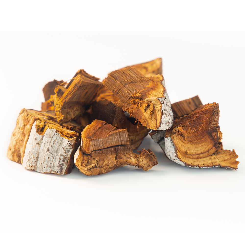 Chaga