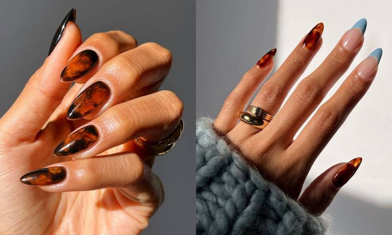 tortoise nails