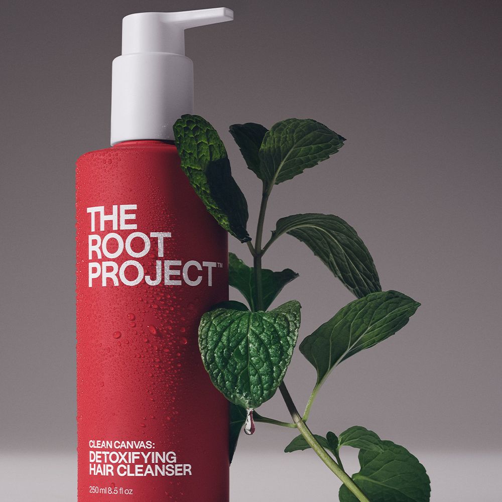 the root project clean canvas