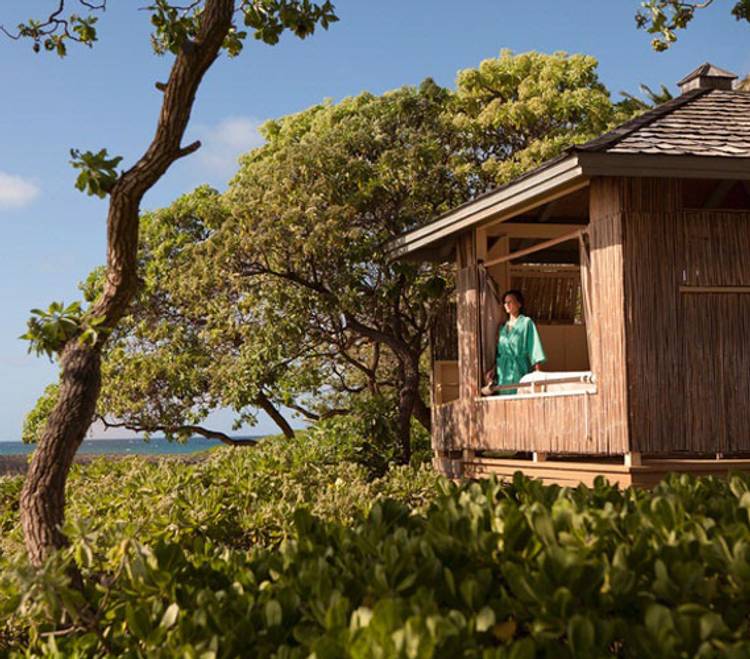 Turtle Bay Resort