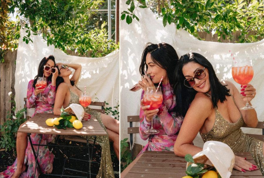 bella twins