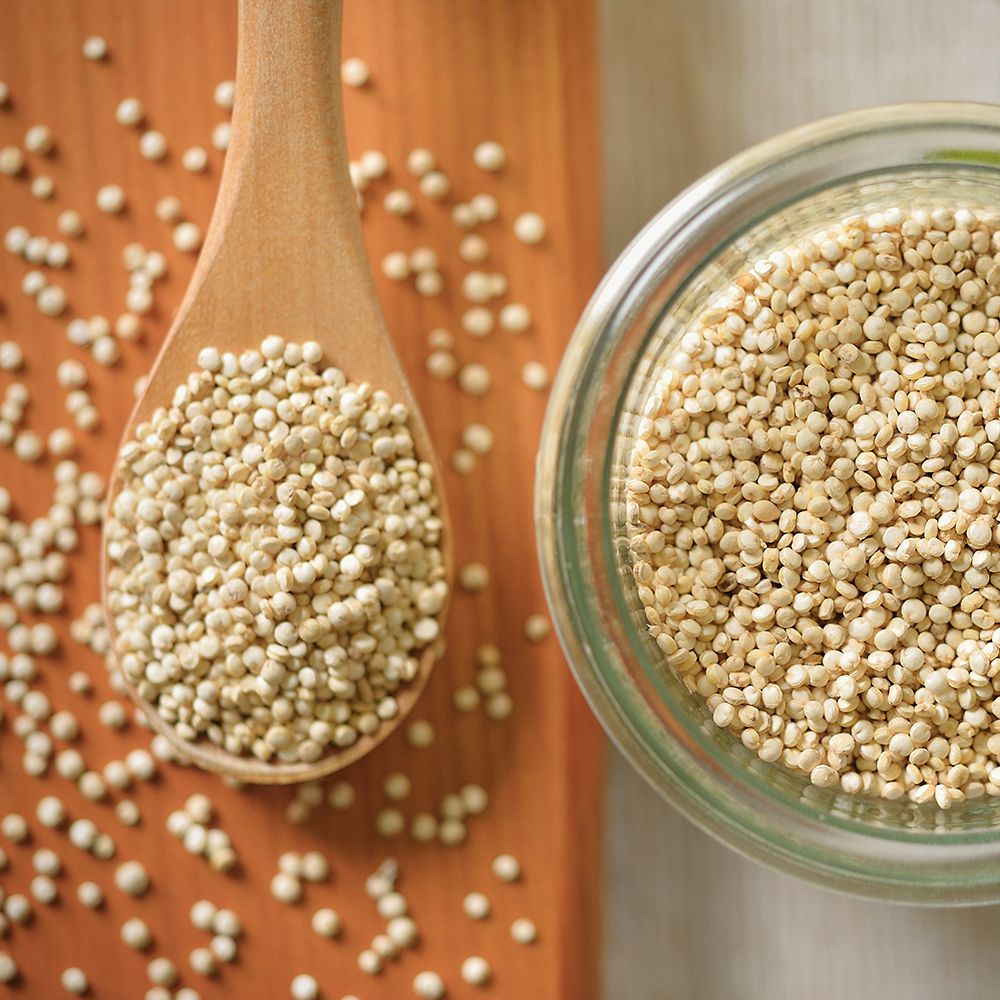 Amino Acid–Rich Plants