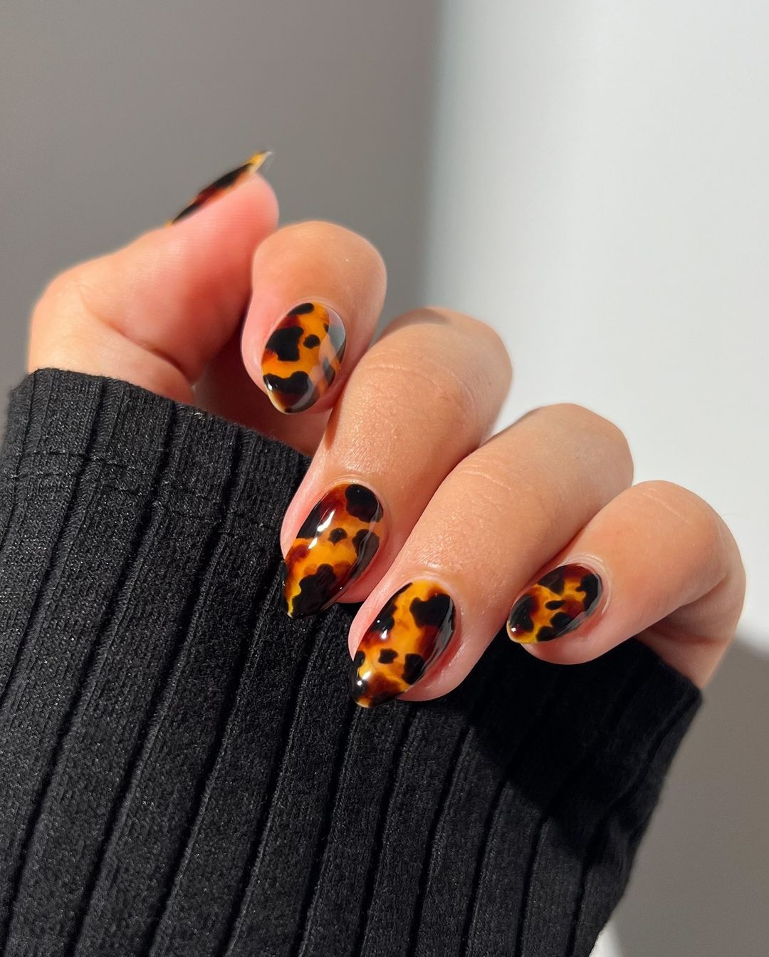 Orange &amp; Black