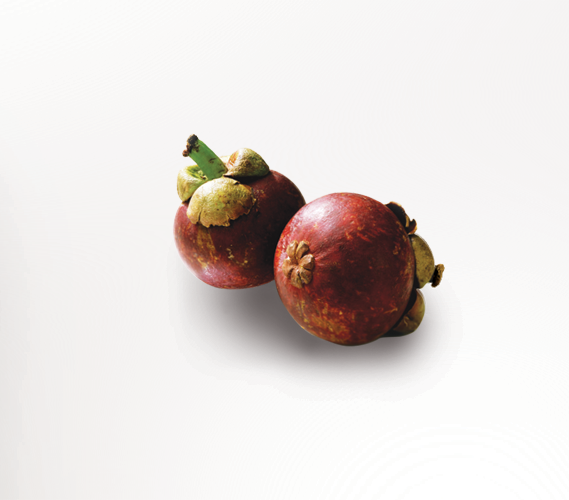 What Does it Taste Like?