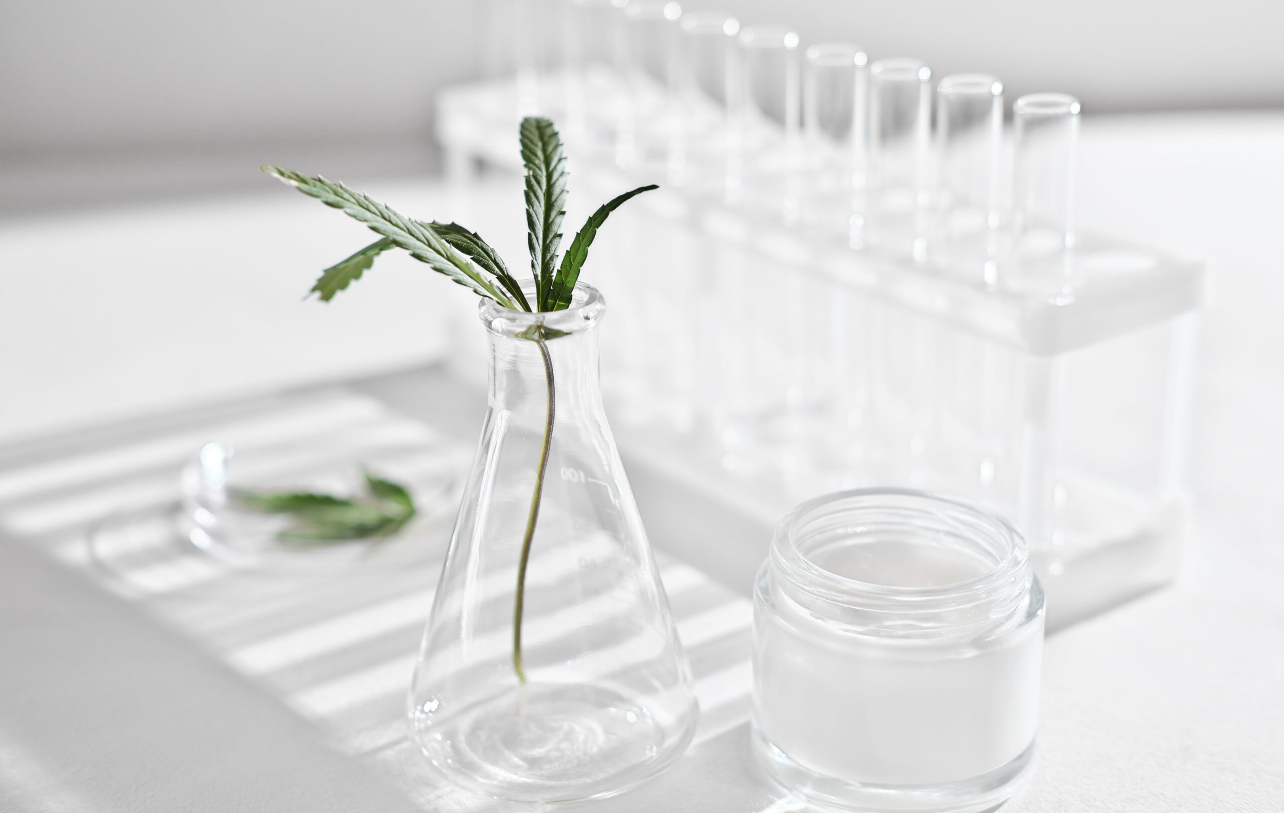 CBD Is All Over Skin Care, And Now It’s Coming for Makeup