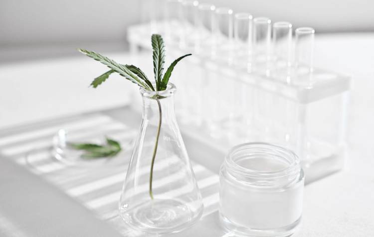CBD Is All Over Skin Care, And Now It’s Coming for Makeup