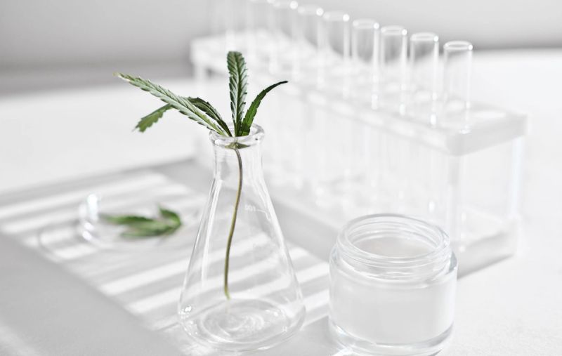 CBD Is All Over Skin Care, And Now It’s Coming for Makeup