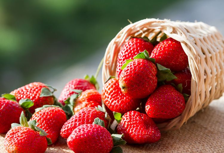 Berries: Sweet Solution