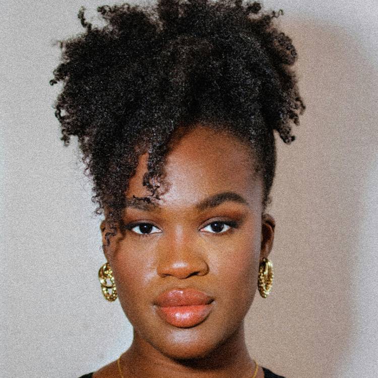 Curly Ponytail