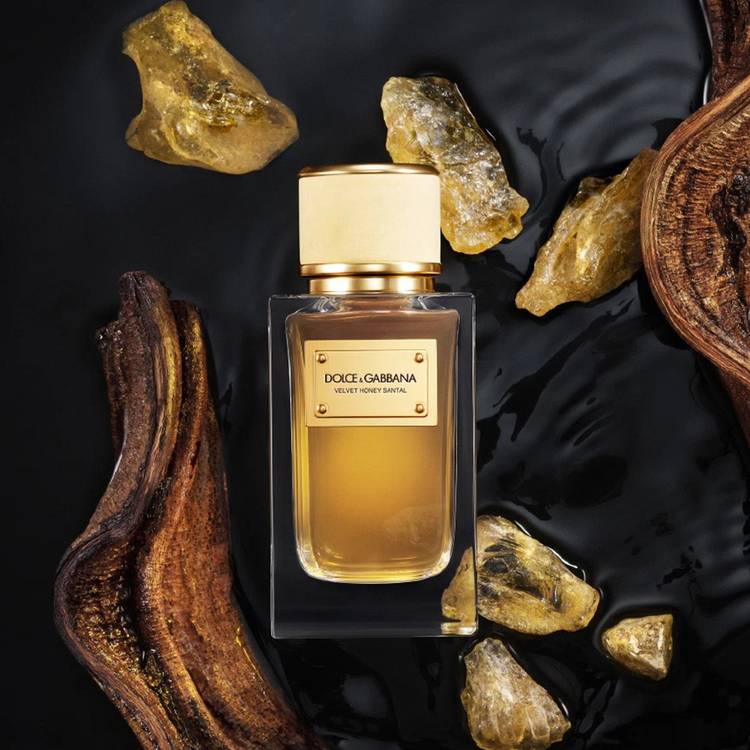 Dolce & Gabbana Velvet Honey Santal ($335)